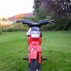 Honda Wallaroo