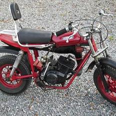 Veteraner fantic