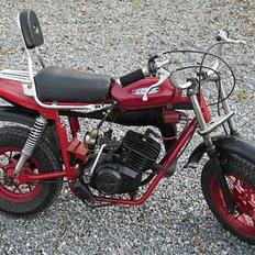 Veteraner fantic