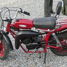 Veteraner fantic