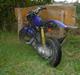 Suzuki Street Pussy SOLGT
