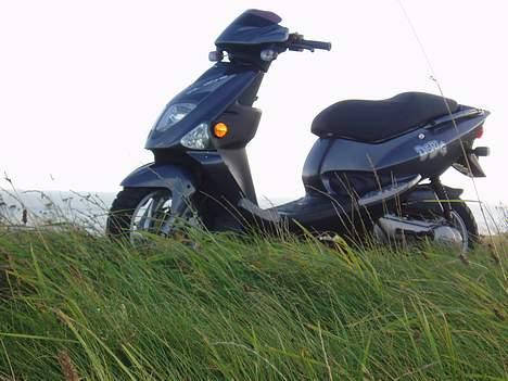 PGO Dr. big SOLGT Jette. billede 3