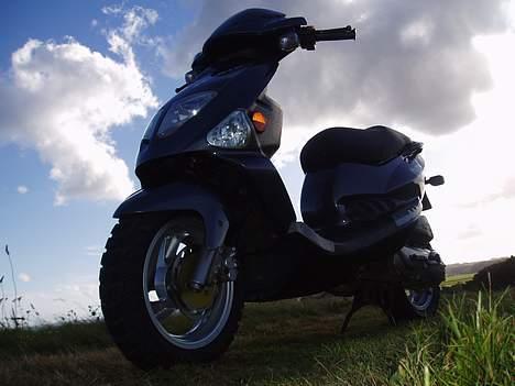 PGO Dr. big SOLGT Jette. billede 5