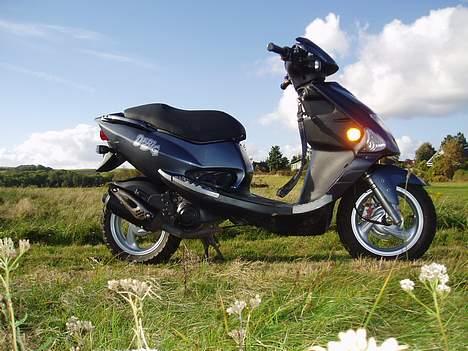 PGO Dr. big SOLGT Jette. billede 7