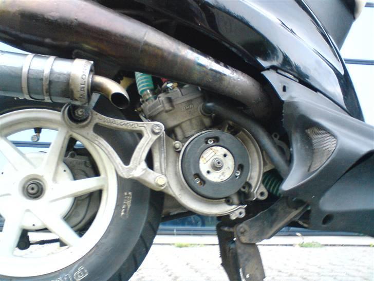 Honda SFX LC billede 5