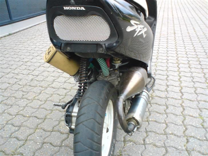 Honda SFX LC billede 6