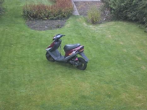 Honda daelim Wink - SOLGT billede 4