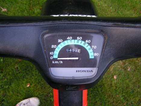 Honda Wallaroo billede 1