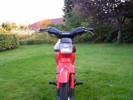 Honda Wallaroo billede 2