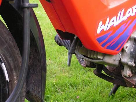 Honda Wallaroo billede 6