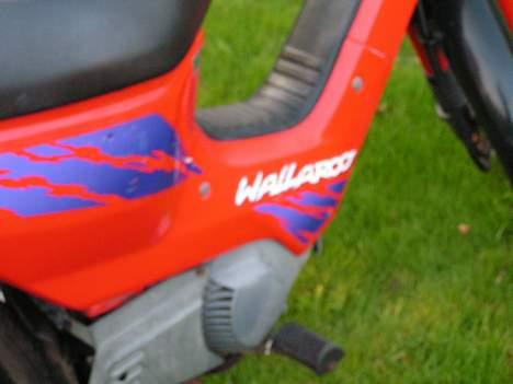 Honda Wallaroo billede 8