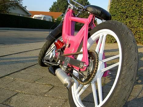 Puch maxi | ' Solgt ! - Old pic. billede 2