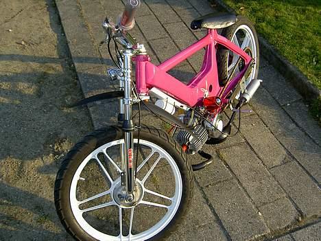 Puch maxi | ' Solgt ! - Old pic. billede 3