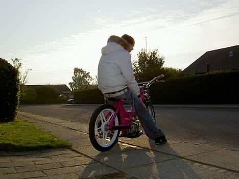 Puch maxi | ' Solgt ! - Old pic. billede 8