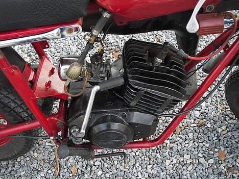 Veteraner fantic billede 4