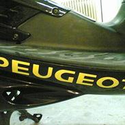Peugeot SpeedFight 2| SOLGT |