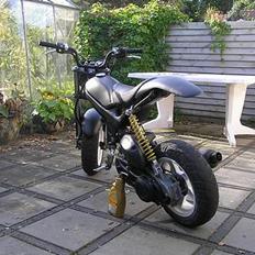 Suzuki Street Magic (SOLGT)