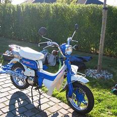 Suzuki Suzi FZ50
