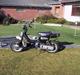 Suzuki fz 50'' solgt