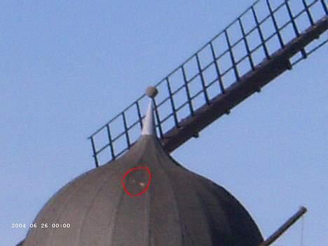 Suzuki street magic - det smat der kan sees inde i cirklen er æblesmat billede 15