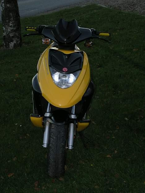 CPI Oliver Til salg - hun er så dejlig....:D billede 3