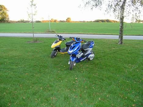 CPI Oliver Til salg - og igen:D billede 5