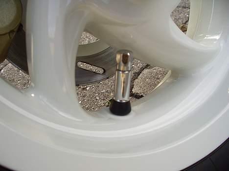 Piaggio Typhoon - Så ser man lige de skinnende kromventiler!!! billede 5