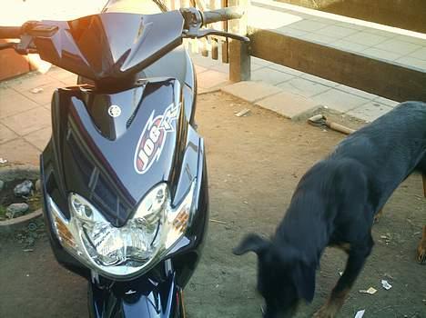 Yamaha Jog R(solgt) billede 13