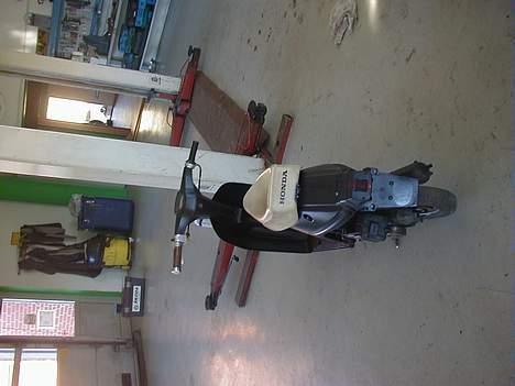 Honda Melody (POLINI EVO) billede 5