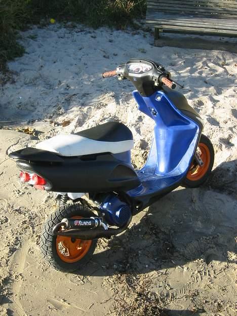 Honda Sfx (47,6) - Ved stranden billede 4