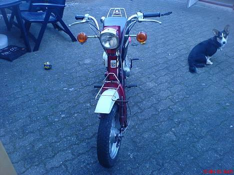 Suzuki FZ50 NR 6 (Solgt) billede 4