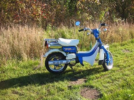 Suzuki Suzi FZ50 billede 1