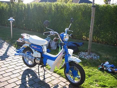 Suzuki Suzi FZ50 billede 2