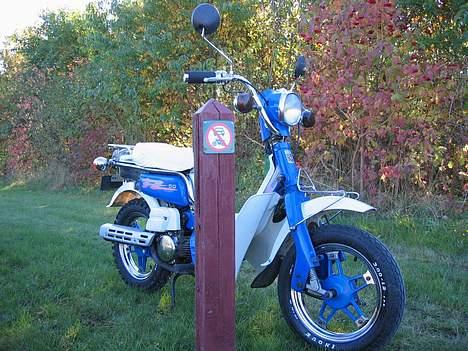 Suzuki Suzi FZ50 - Knallert forbudt billede 3