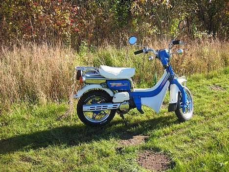 Suzuki Suzi FZ50 billede 5