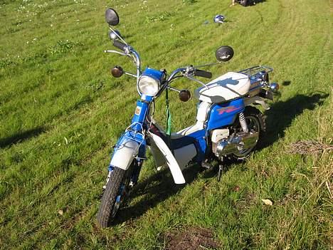 Suzuki Suzi FZ50 billede 7