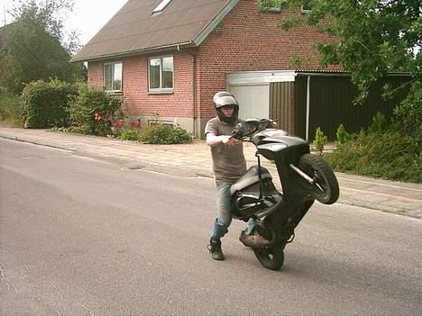 Honda Sfx . SOLGT til forsiking billede 2