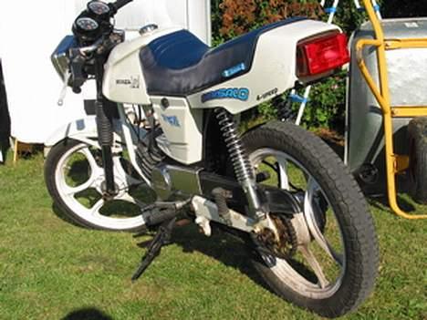 Puch Monza juvel/daytona billede 2
