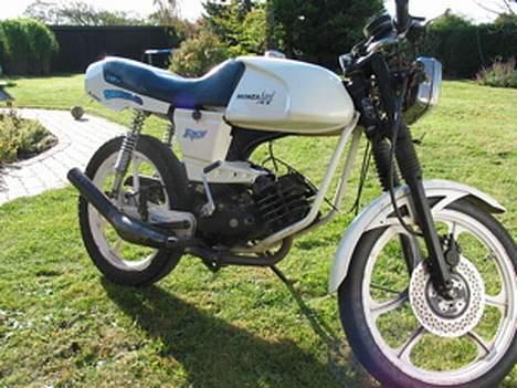 Puch Monza juvel/daytona billede 4