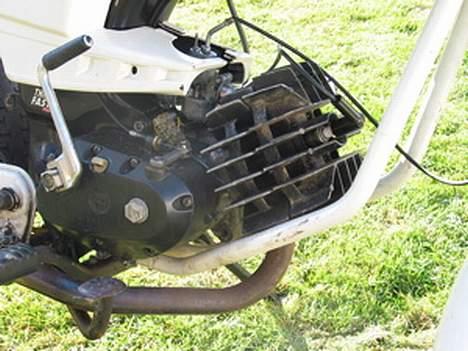 Puch Monza juvel/daytona billede 5