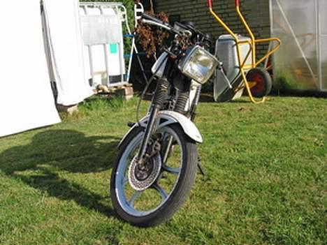 Puch Monza juvel/daytona billede 6