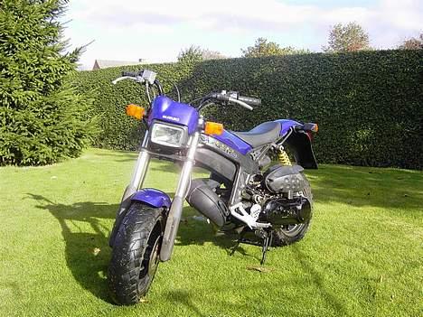 Suzuki Street Magic - Solgt billede 1