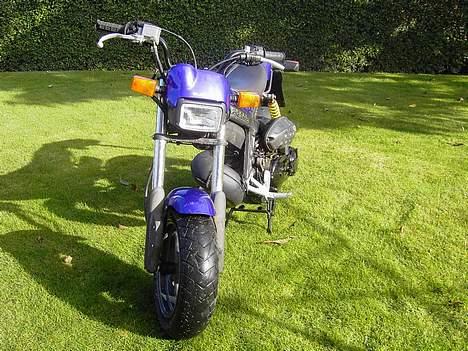 Suzuki Street Magic - Solgt billede 2