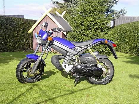 Suzuki Street Magic - Solgt billede 3