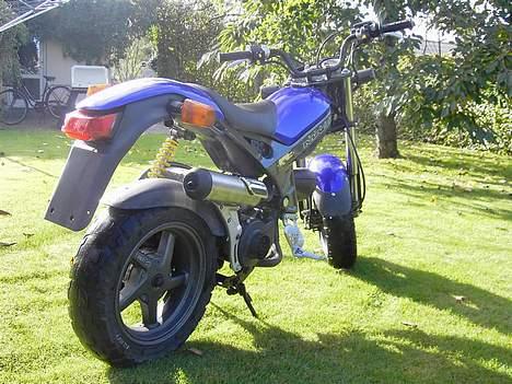 Suzuki Street Magic - Solgt billede 5