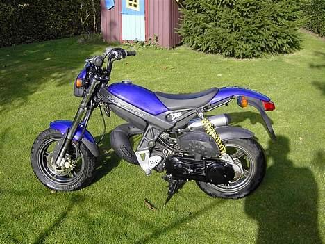 Suzuki Street Magic - Solgt billede 9