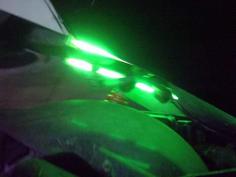 PGO Hot 50 'Agnete' Solgt billede 2