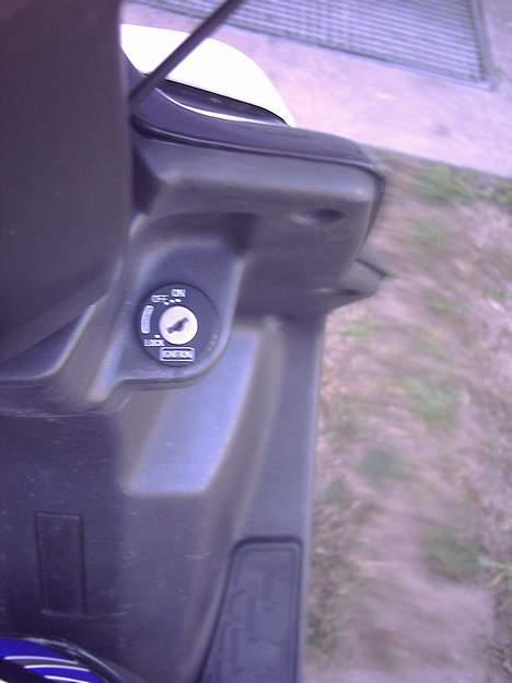 PGO Hot 50 'Agnete' Solgt billede 10