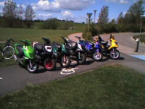 PGO Hot 50 'Agnete' Solgt billede 12