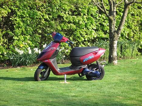 Aprilia Sonic - Solgt billede 1